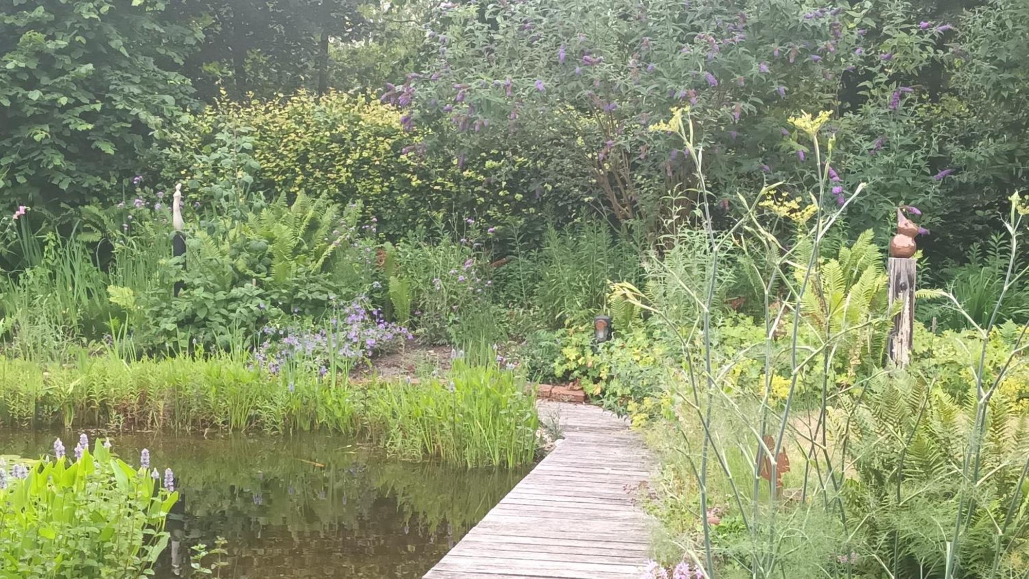 B&B Houtstee Veendam Buitenkant foto