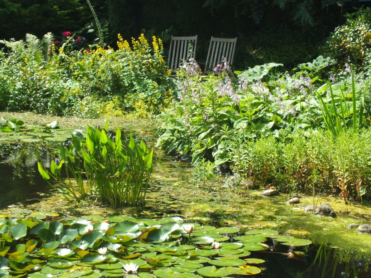 B&B Houtstee Veendam Buitenkant foto